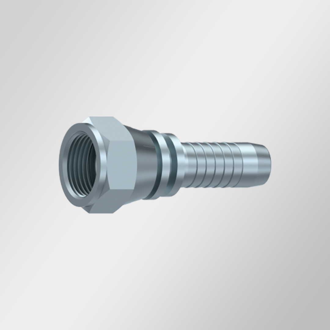 Femelle-JIC-1 Femelle JIC – Image 1